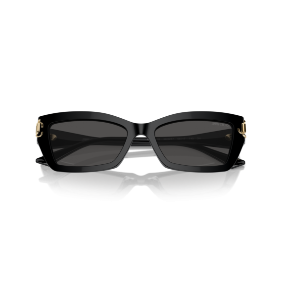 Jimmy Choo JC 5011U 500087 Güneş Gözlüğü, Resim 5