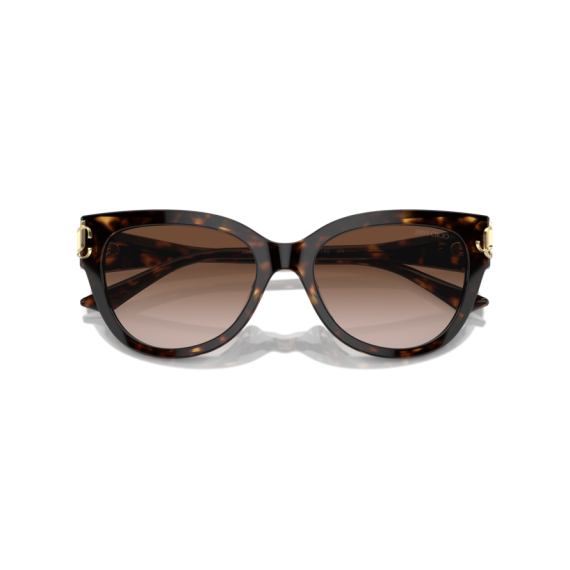 Jimmy Choo JC 5018U 500213 Güneş Gözlüğü, Resim 5
