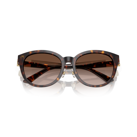 Jimmy Choo JC 5032D 50028G Güneş Gözlüğü, Resim 5