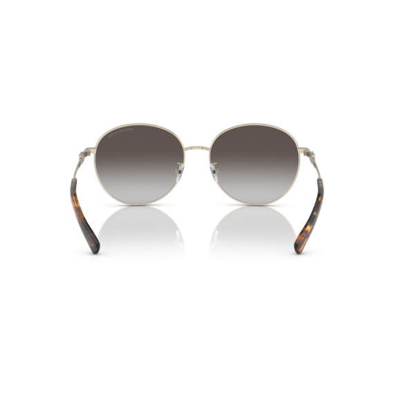 Michael Kors MK 1119 10148G Güneş Gözlüğü, Resim 3