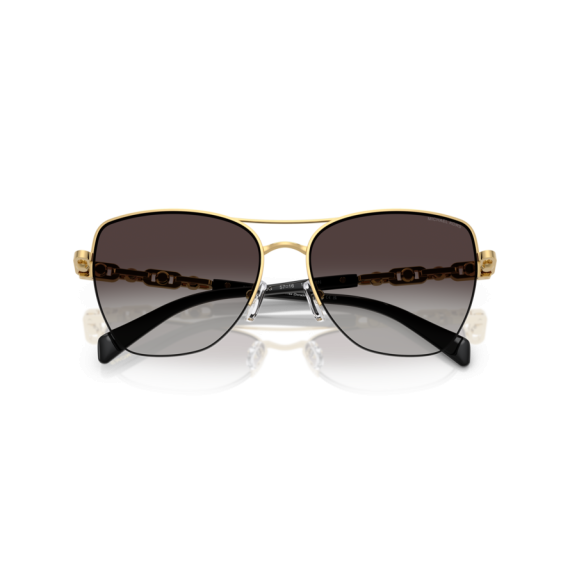 Michael Kors MK 1163 18968G Güneş Gözlüğü, Resim 5