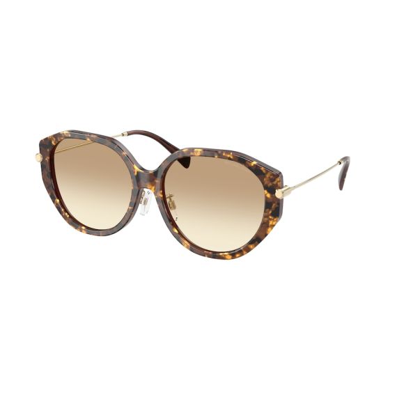 Michael Kors MK 2248D 401613 Güneş Gözlüğü, Resim 6
