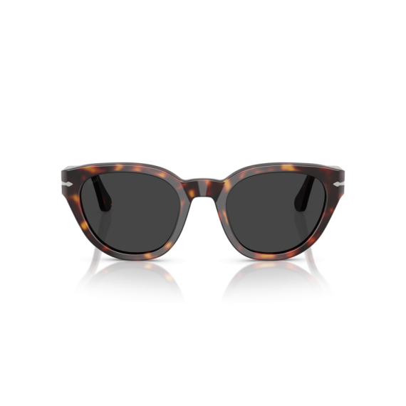 Persol PO 3379S 24/48 Güneş Gözlüğü, Cinsiyet: Unisex, Ekartman: 51, Polarize: Evet, Resim 4
