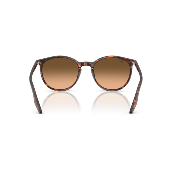 Ray-Ban RB 2204 14293B Güneş Gözlüğü, Cinsiyet: Unisex, Ekartman: 54, Resim 3