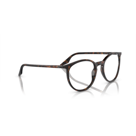 Ray-Ban RB 2204 902/GJ Güneş Gözlüğü, Cinsiyet: Unisex, Ekartman: 51, Resim 4