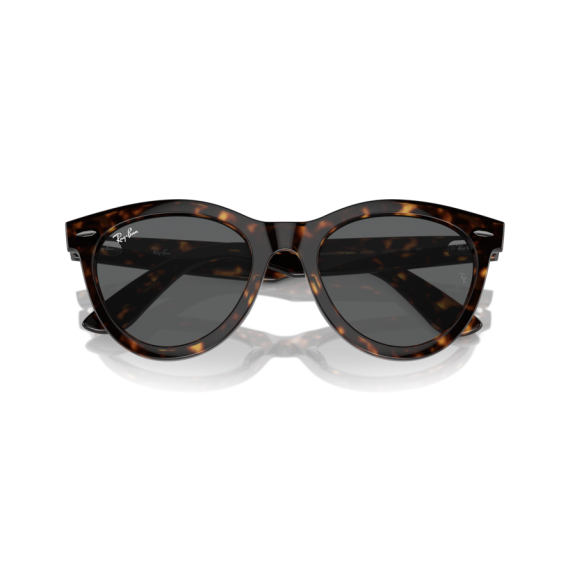 Ray-Ban RB 2241 902/B1 Güneş Gözlüğü, Cinsiyet: Unisex, Ekartman: 51, Resim 6