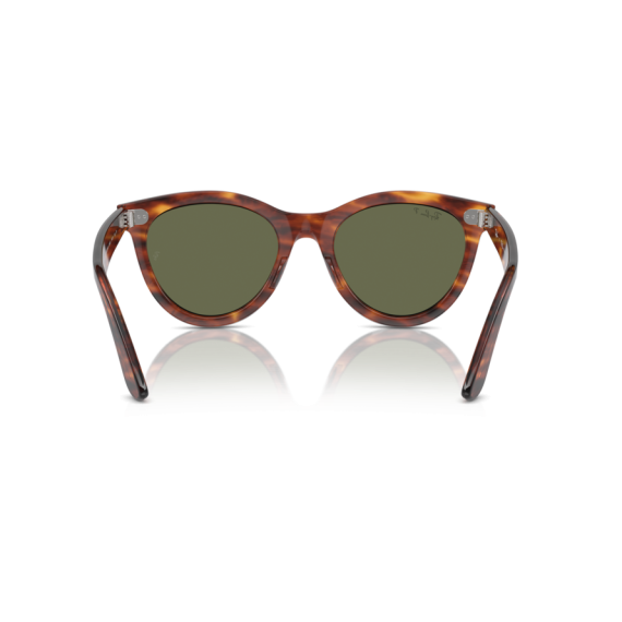 Ray-Ban RB 2241 954/58 Güneş Gözlüğü, Cinsiyet: Unisex, Ekartman: 51, Resim 3