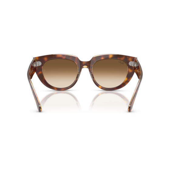 Ray-Ban RB 2286 141451 Güneş Gözlüğü, Cinsiyet: Kadın, Ekartman: 49, Resim 3