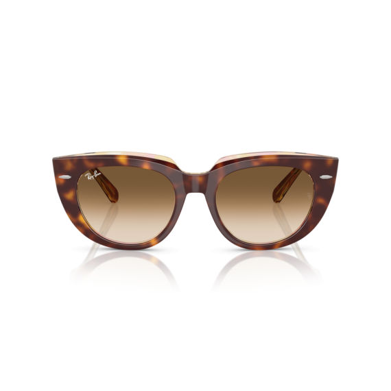 Ray-Ban RB 2286 141451 Güneş Gözlüğü, Cinsiyet: Kadın, Ekartman: 49, Resim 5