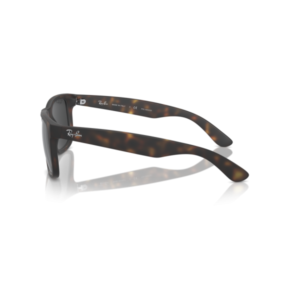 Ray-Ban RB 4165 865/87 Güneş Gözlüğü, Resim 2