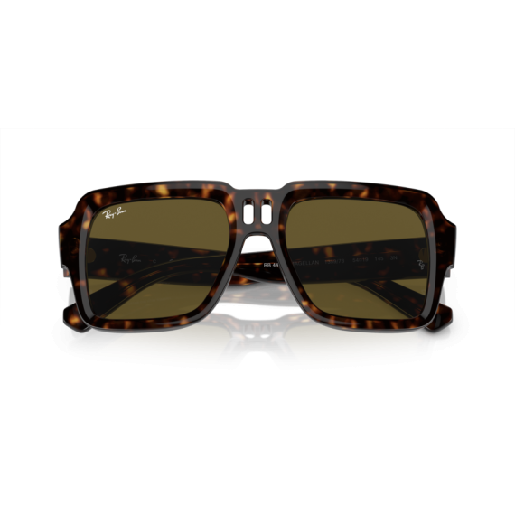 Ray-Ban RB 4408 135973 Güneş Gözlüğü, Resim 6