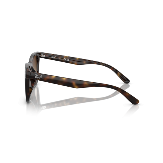 Ray-Ban RB 4420 710/13 Güneş Gözlüğü, Resim 2
