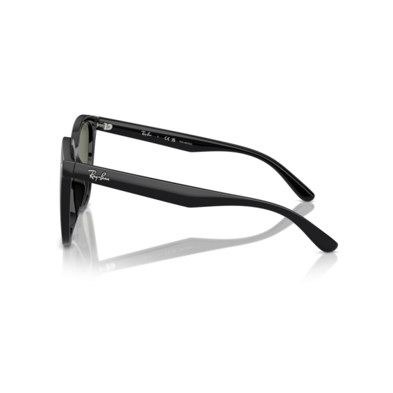 Ray-Ban RB 4423D 601/9A Güneş Gözlüğü, Resim 2