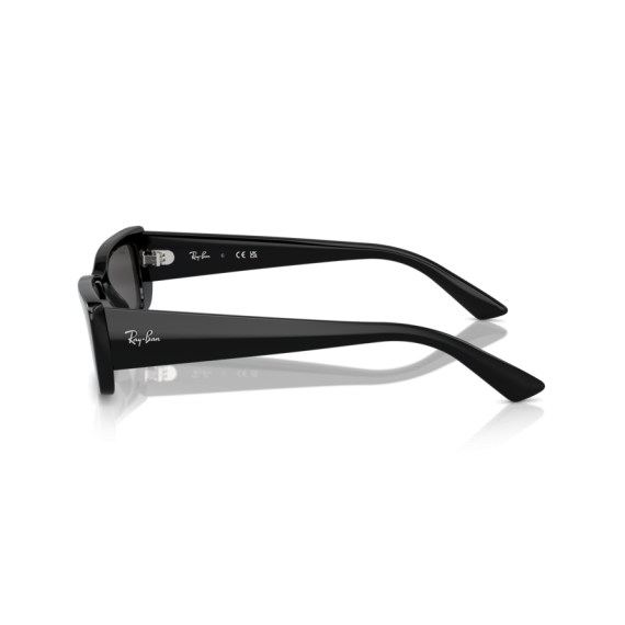 Ray-Ban RB 4425 667787 Güneş Gözlüğü, Resim 2