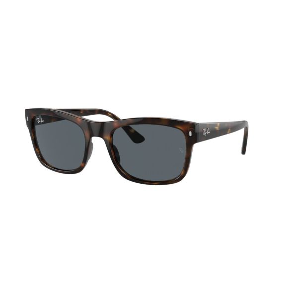 Ray-Ban RB 4428 710/R5 Güneş Gözlüğü, Resim 7