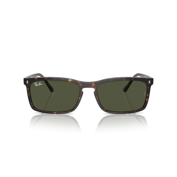 Ray-Ban RB 4435 902/31 Güneş Gözlüğü, Resim 5