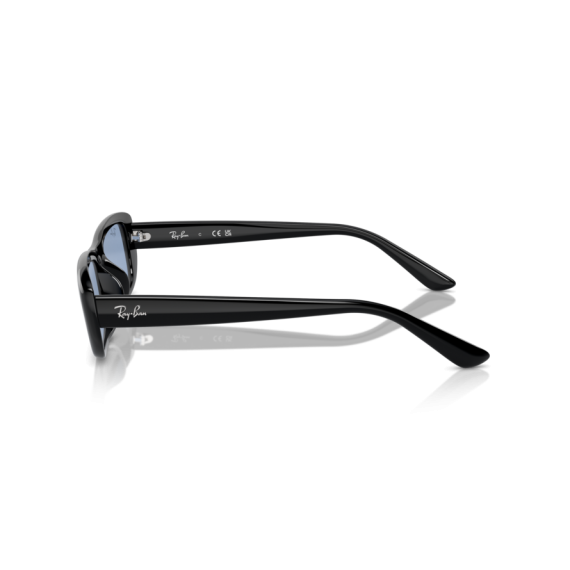 Ray-Ban RB 4436D 667772 Güneş Gözlüğü, Resim 2