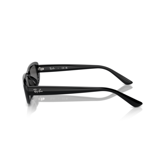 Ray-Ban RB 4436D 667787 Güneş Gözlüğü, Resim 2