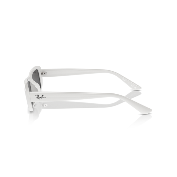 Ray-Ban RB 4436D 677287 Güneş Gözlüğü, Resim 2