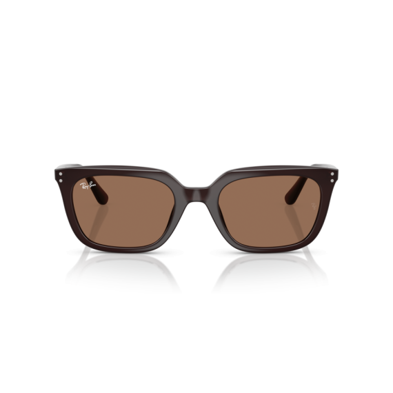 Ray-Ban RB 4439D 623173 Güneş Gözlüğü, Resim 5
