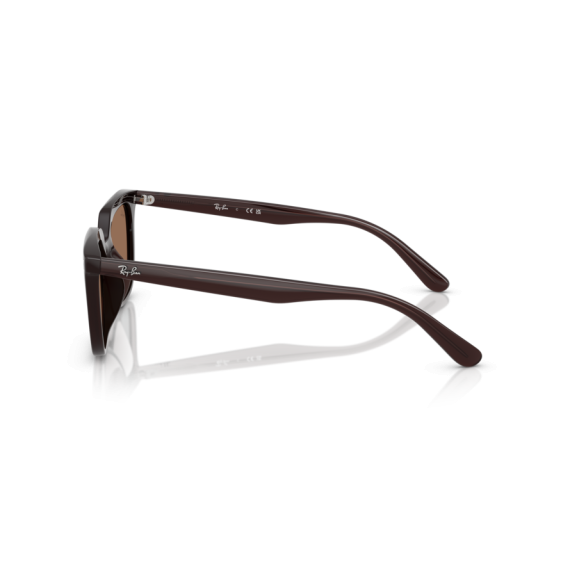 Ray-Ban RB 4439D 623173 Güneş Gözlüğü, Resim 2