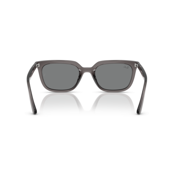 Ray-Ban RB 4439D 667587 Güneş Gözlüğü, Resim 3
