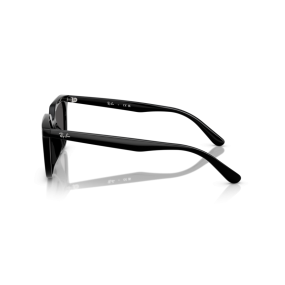 Ray-Ban RB 4439D 901/87 Güneş Gözlüğü, Resim 2