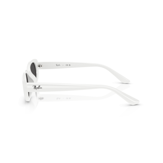 Ray-Ban RB 4441D 677287 Güneş Gözlüğü, Resim 2