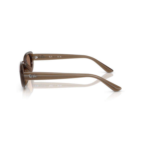 Ray-Ban RB 4441D 677973 Güneş Gözlüğü, Resim 2