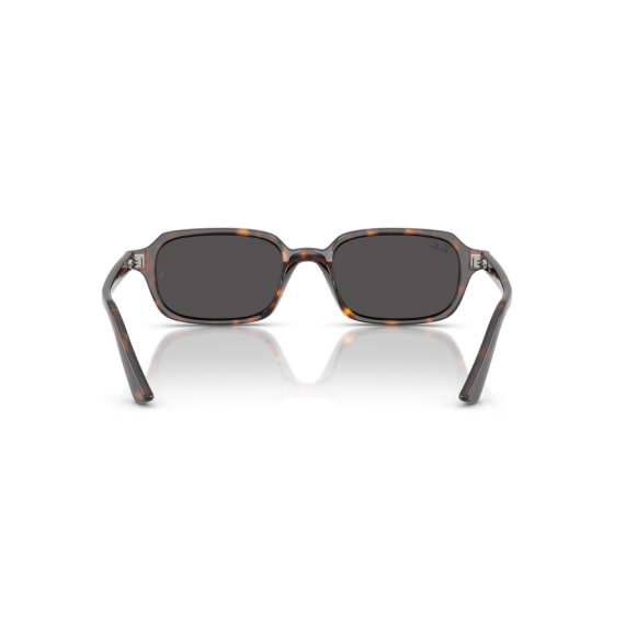 Ray-Ban RB 4455 135987 Güneş Gözlüğü, Cinsiyet: Unisex, Ekartman: 49, Resim 3