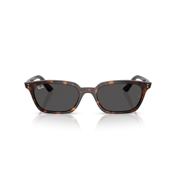 Ray-Ban RB 4456 135987 Güneş Gözlüğü, Cinsiyet: Unisex, Ekartman: 50, Resim 5