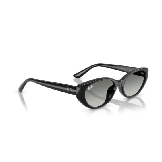 Ray-Ban RB 4457D 667711 Güneş Gözlüğü, Resim 4