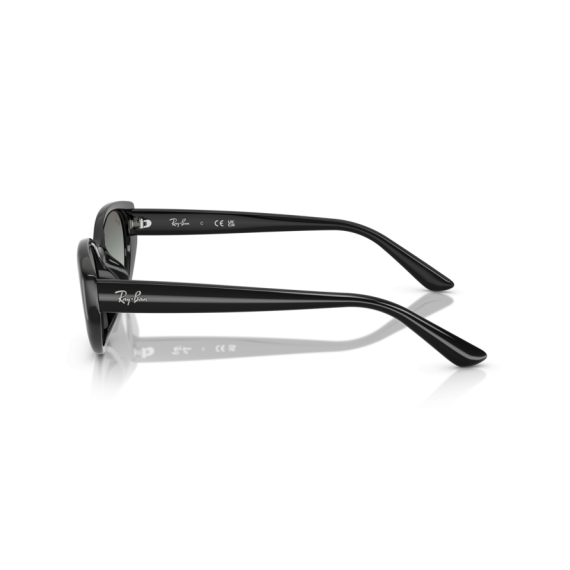 Ray-Ban RB 4457D 667711 Güneş Gözlüğü, Resim 2