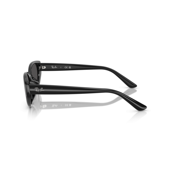 Ray-Ban RB 4457D 667787 Güneş Gözlüğü, Resim 2