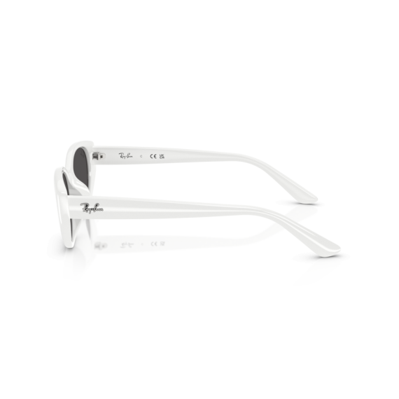 Ray-Ban RB 4457D 677287 Güneş Gözlüğü, Resim 2