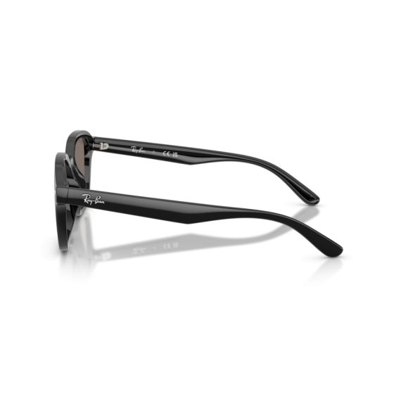 Ray-Ban RB 4458D 601/6V Güneş Gözlüğü, Resim 2