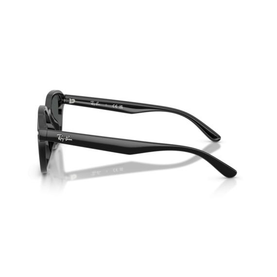 Ray-Ban RB 4458D 601/87 Güneş Gözlüğü, Resim 2