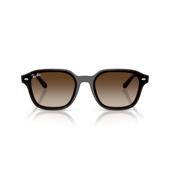 Ray-Ban RB 4458D 714/13 Güneş Gözlüğü, Resim 5