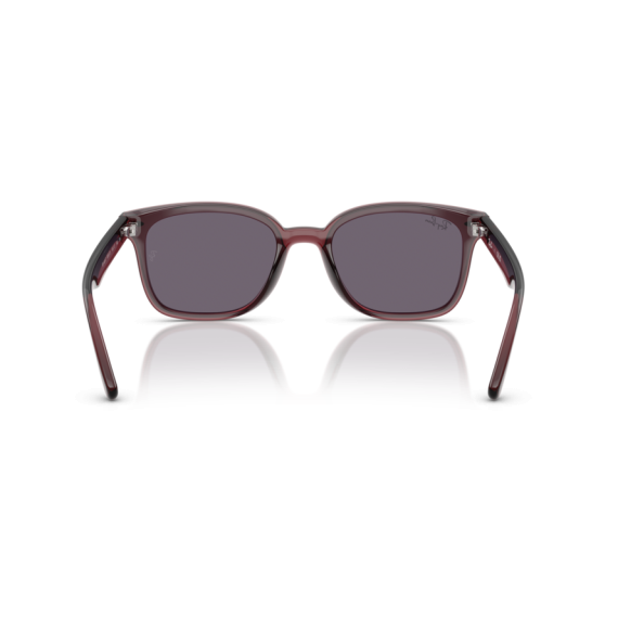 Ray-Ban RB 4461D 659373 Güneş Gözlüğü, Resim 3