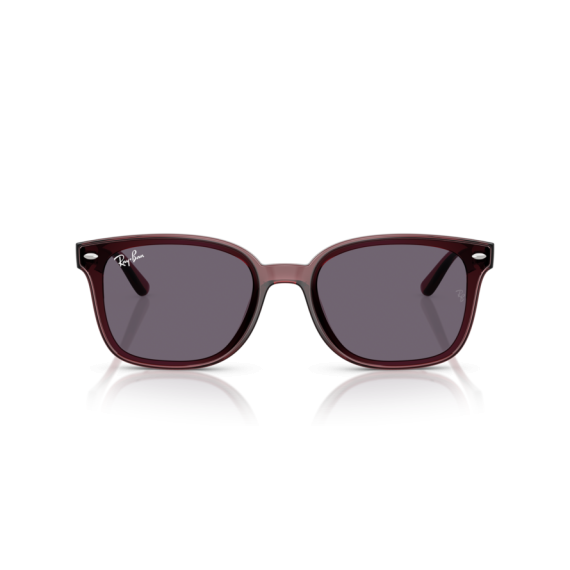 Ray-Ban RB 4461D 659373 Güneş Gözlüğü, Resim 5
