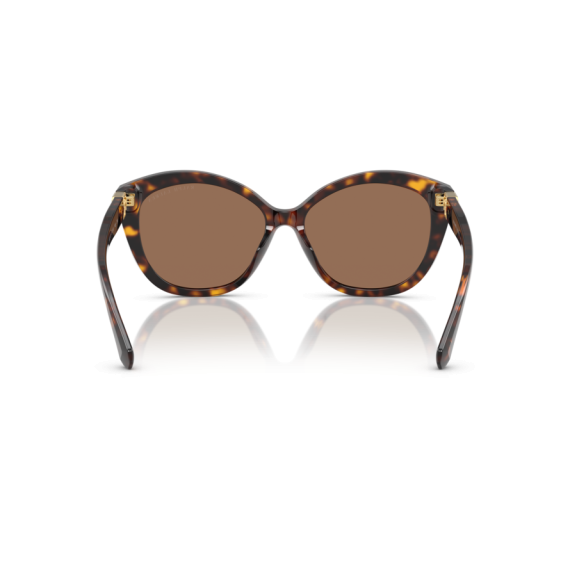 Ralph Lauren RL 8225U 500373 Güneş Gözlüğü, Resim 3