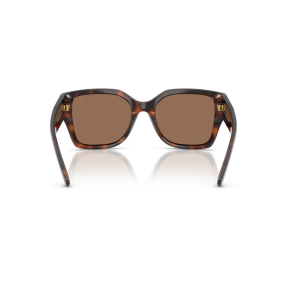 Ralph Lauren RL 8230U 624173 Güneş Gözlüğü, Resim 3