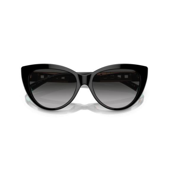 Tiffany TF 4196 80013C Güneş Gözlüğü, Resim 5