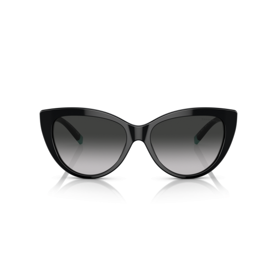 Tiffany TF 4196 80013C Güneş Gözlüğü, Resim 4