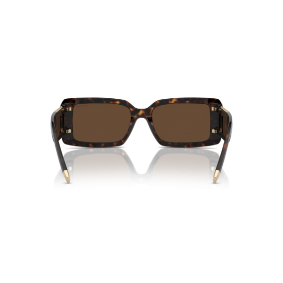 Tiffany TF 4197 80153G Güneş Gözlüğü, Resim 3