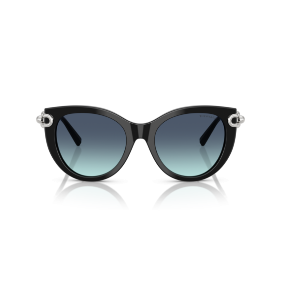 Tiffany TF 4232 83429S Güneş Gözlüğü, Resim 4