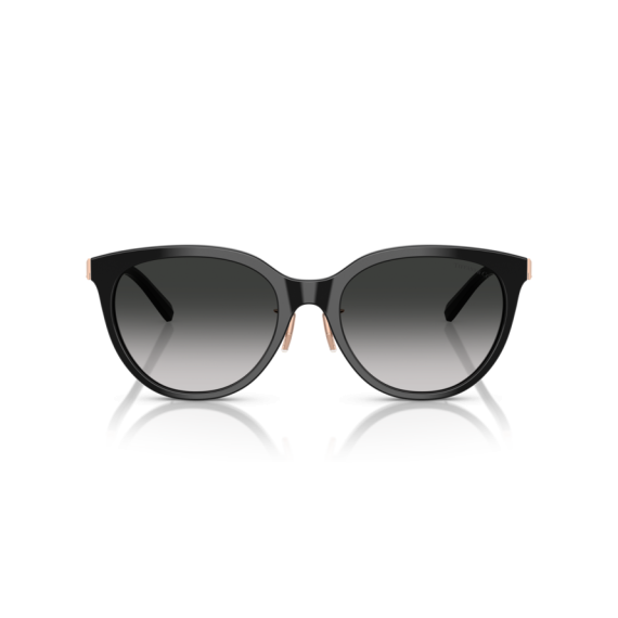 Tiffany TF 4243D 80013C Güneş Gözlüğü, Resim 4