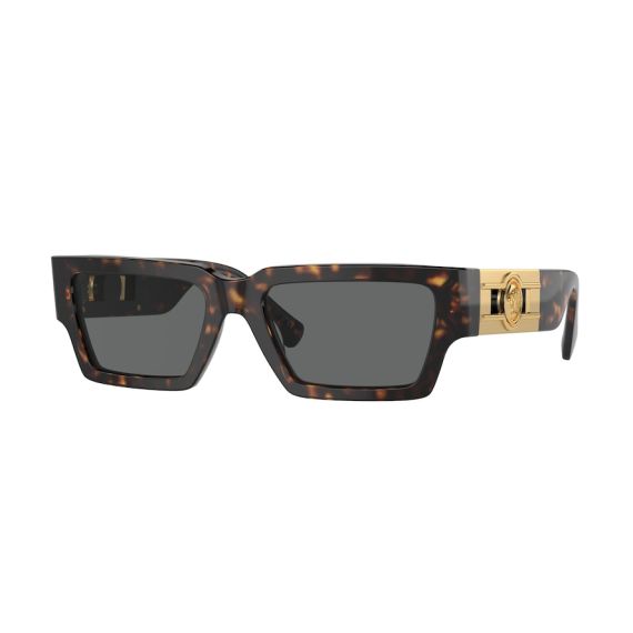 Versace VE 4459 108/87 Güneş Gözlüğü, Resim 6
