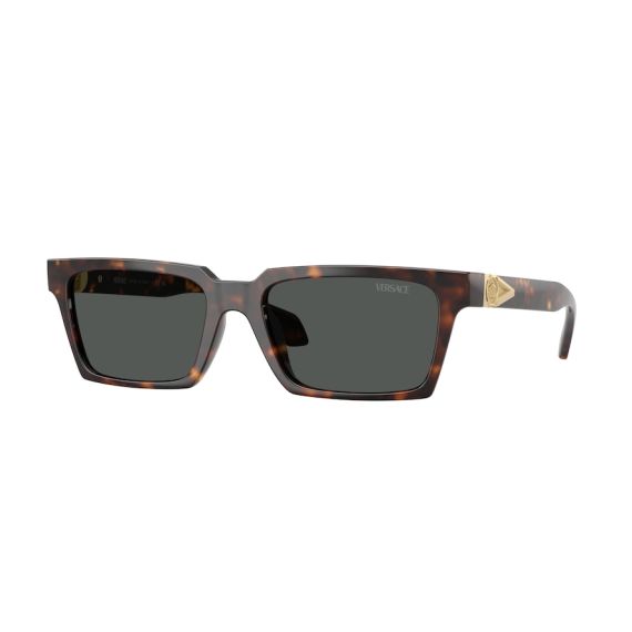Versace VE 4490U 108/87 Güneş Gözlüğü, Resim 6