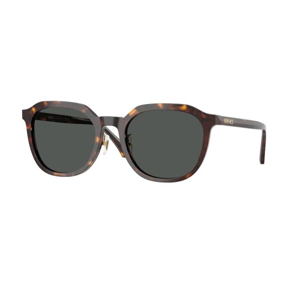 Versace VE 4493D 108/87 Güneş Gözlüğü, Resim 6